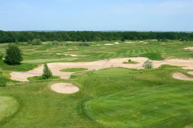 Golf sahasında yeşil çimenler ve delikler. Güneşli bir yaz gününde golf sahası.