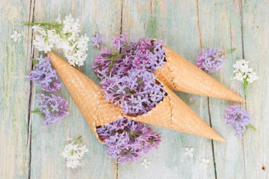 Gözleme koni içinde mor Lila