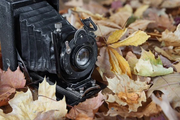 Cámara de fotos vintage en el parque de otoño — Foto de Stock