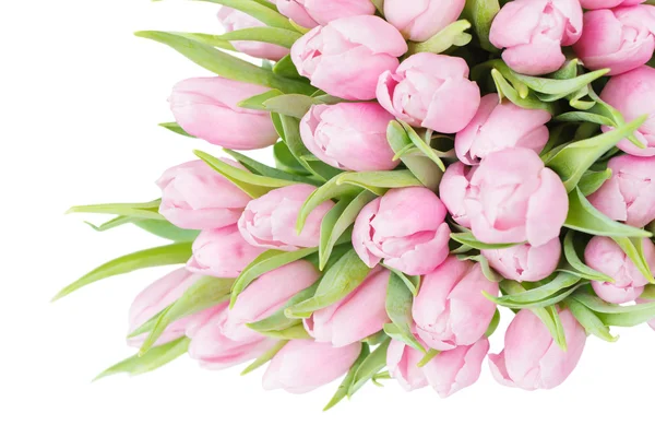 Tulipanes rosados flores — Foto de Stock