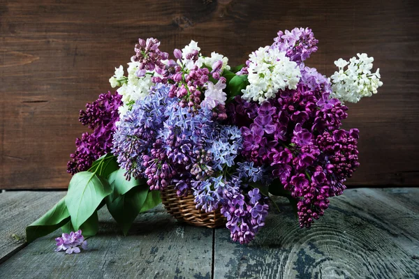 Lush multicolored bouquet of lilac — Stock Photo, Image