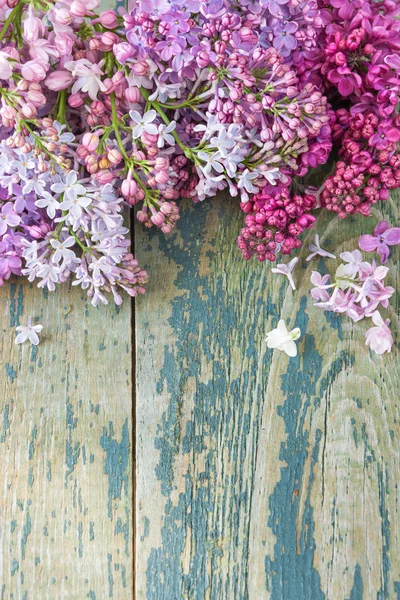 Lush multicolored bunches of lilac — Stock Photo, Image