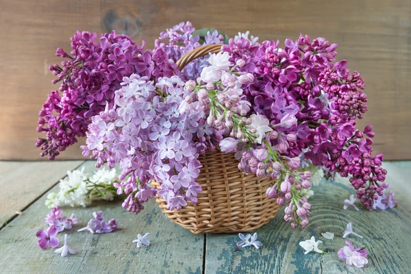 Lush multicolored bouquet of lilac — Stock Photo, Image
