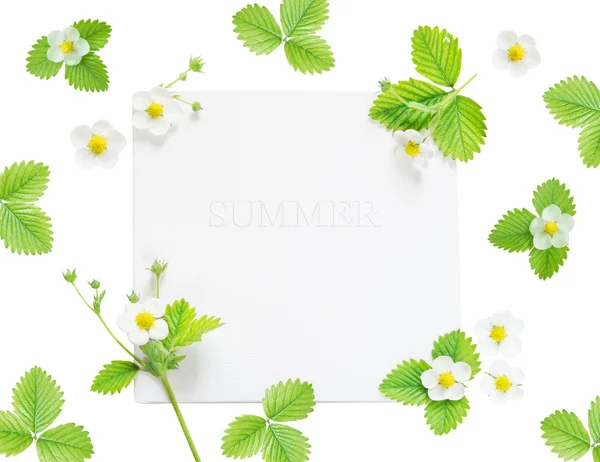 Frame with flowers and leaves of strawberry — Stock Photo, Image