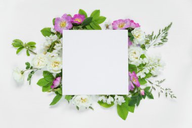 Scrapbook sayfa yaban gülü ve beyaz çiçekler