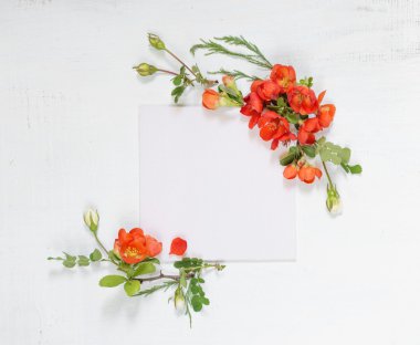 Scrapbook page with Chaenomeles flowers clipart