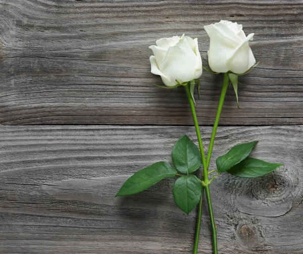 Two white roses on a wooden background