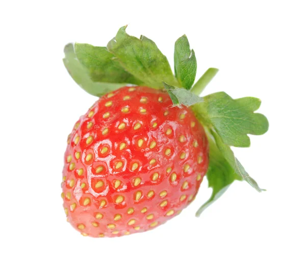 Φράουλα πάνω από το λευκό φόντο — Φωτογραφία Αρχείου
