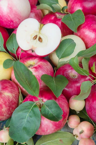 Beaucoup de pommes rouges — Photo