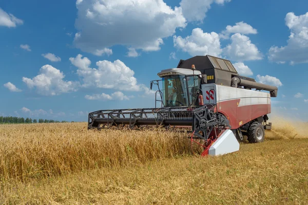 Erntemaschine auf einem Weizenfeld — Stockfoto