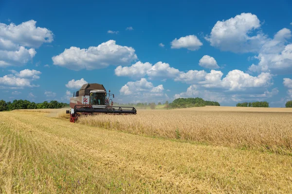 Colheitadeira em um campo de trigo — Fotografia de Stock