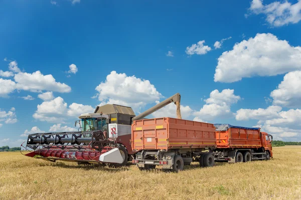 Combine colheitadeira de carregamento de grãos em um caminhão de transporte — Fotografia de Stock