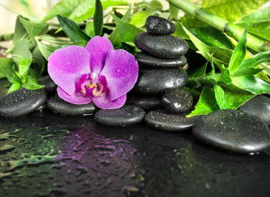 Spa konseptiyle zen taşları, orkide çiçek ve bambu