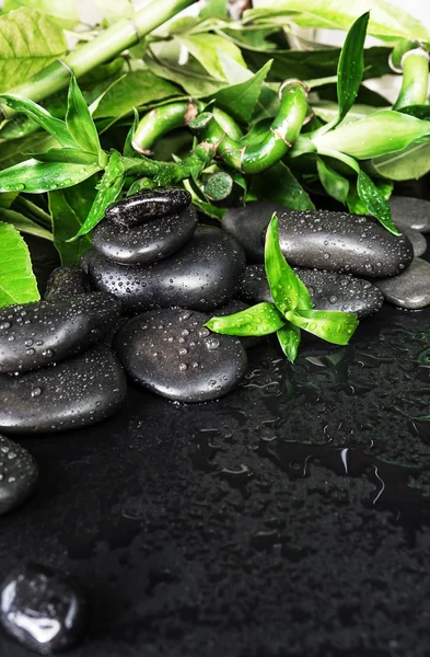 Koncepcja spa zen stones i bambus — Zdjęcie stockowe