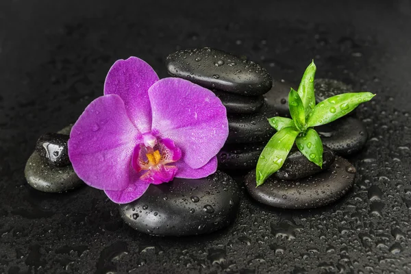 Wellness-Konzept mit Zen-Steinen, Orchideenblume und Bambus — Stockfoto