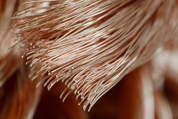 Copper wire — Stock Photo, Image