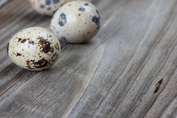 Quail eggs — Stock Photo, Image