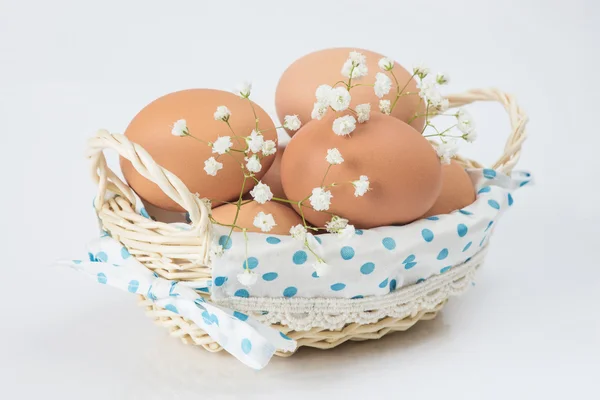 Fresh brown eggs — Stock Photo, Image