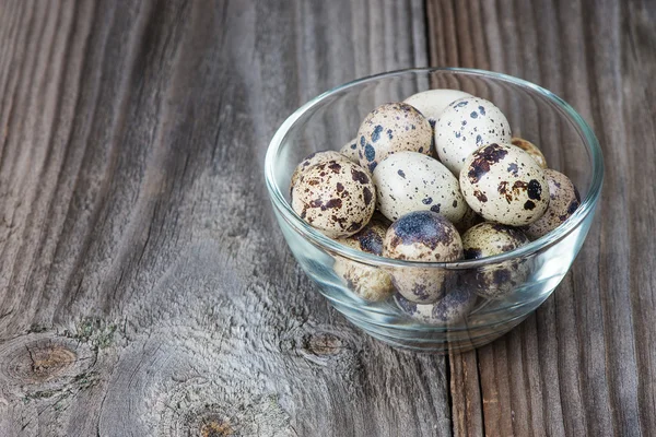 Quail eggs — Stock Photo, Image