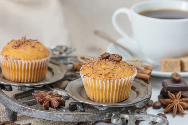 Cupcakes with chocolate chips — Stock Photo, Image