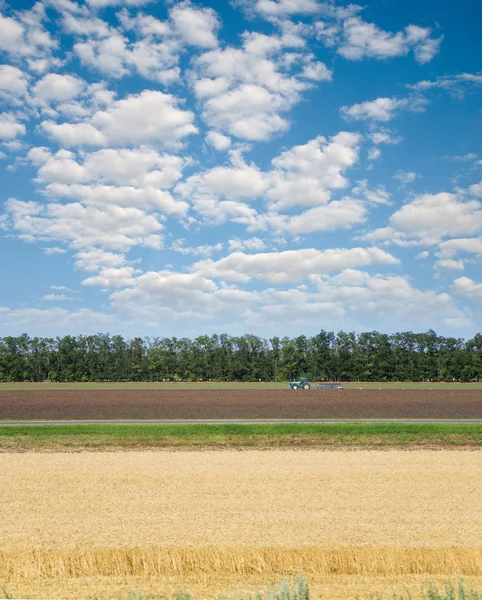 Lavori agricoli — Foto Stock