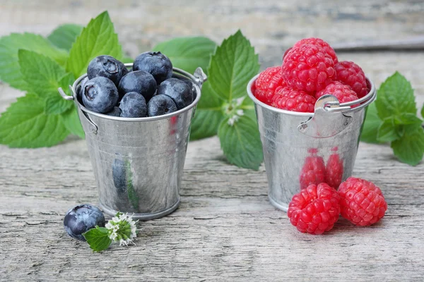 Harvest of berries — Stock Photo, Image