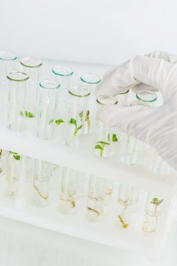 Biosciences