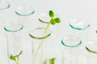 Biosciences