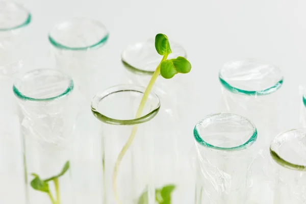 Biociencias —  Fotos de Stock