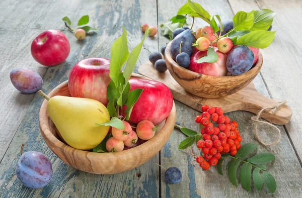 Skörd av olika frukter och bär — Stockfoto
