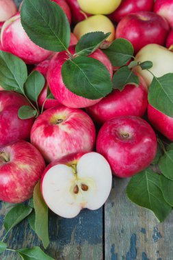 pek çok kırmızı elmalar portre