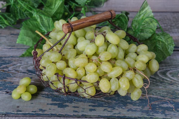 Зеленый виноград в корзине из металла — стоковое фото