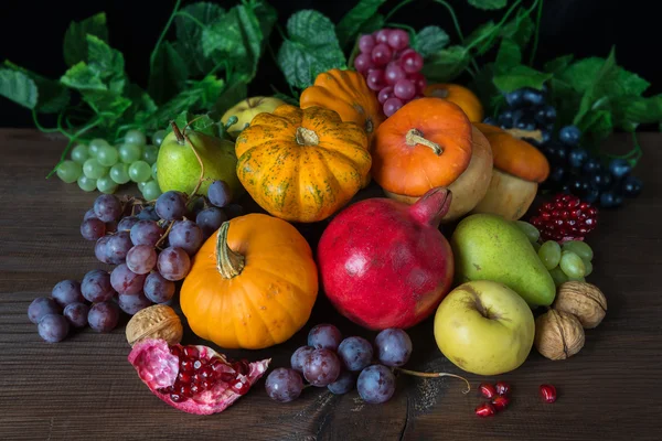 Bohaté sklizně z různých druhů ovoce — Stock fotografie