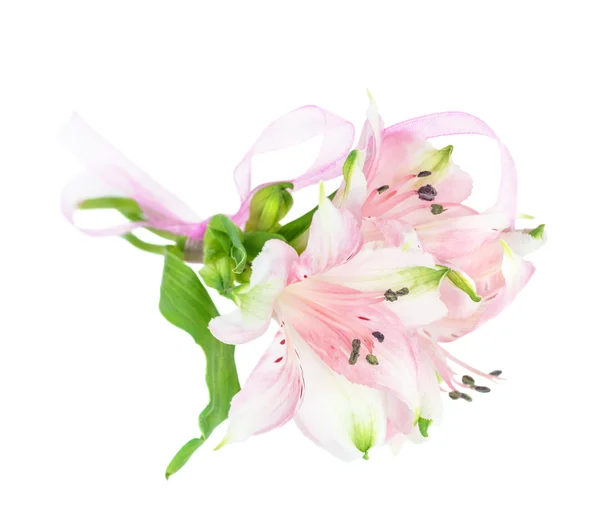 Small bouquet of Alstroemeria flowers — Stock Photo, Image