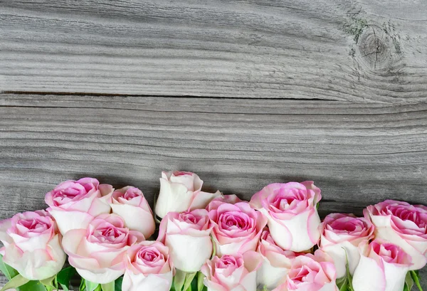 Roze rozen op de planken — Stockfoto