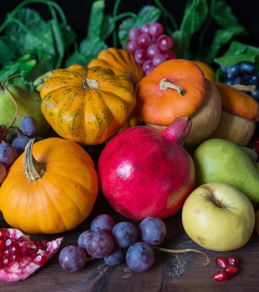 Récolte riche de divers fruits — Photo