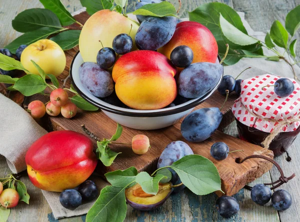 Skörd av olika frukter och bär — Stockfoto