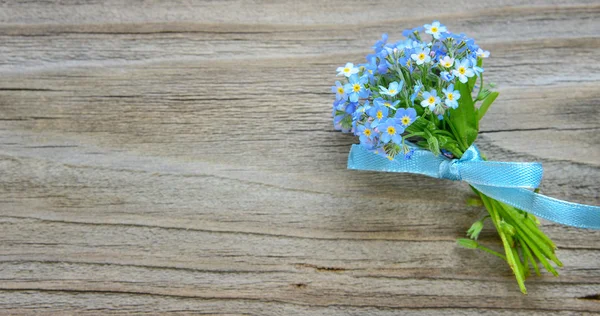 Vergissmeinnicht-Blumen — Stockfoto