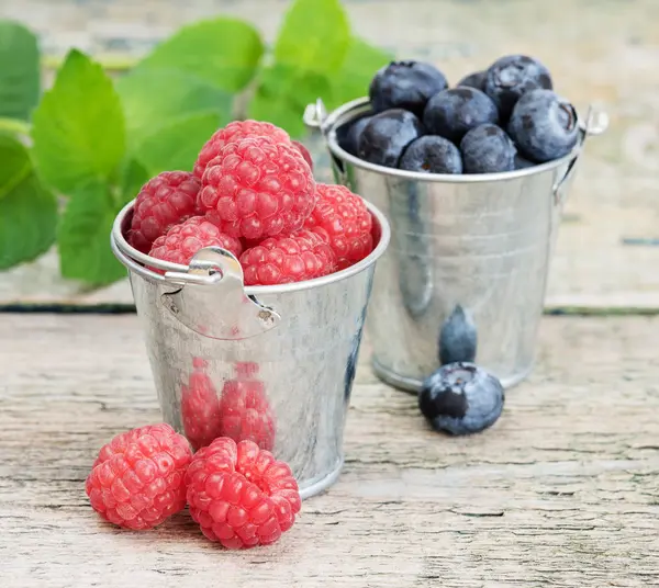 Harvest of berries — Stock Photo, Image