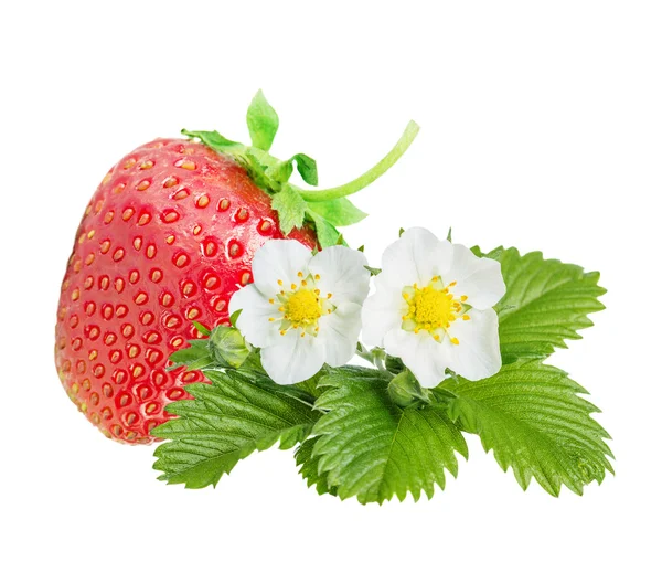 Strawberry over white background — Stock Photo, Image