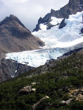 Torres del Paine Ulusal Parkı, Patagonya, Şili 'deki Dağ Buzulu ve Ormanı 
