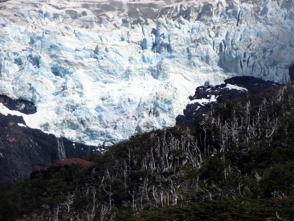 Glacier Montagne Forêt Parc National Torres Del Paine Patagonie Chili — Photo