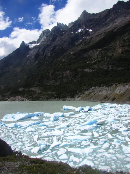 智利帕塔哥尼亚Torres Del Paine国家公园的Lago Grey — 图库照片