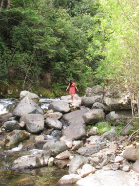 Doğadaki kadınlar, Orman ve nehir, Araucania, Şili 