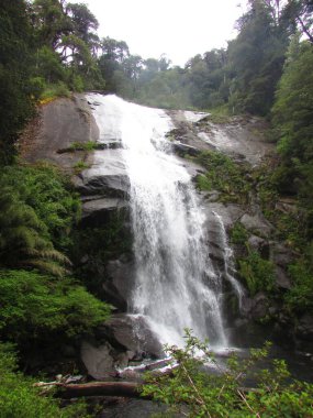 Nido de Aguila Şelalesi, Huerquehue Ulusal Parkı, Araucania, Şili 
