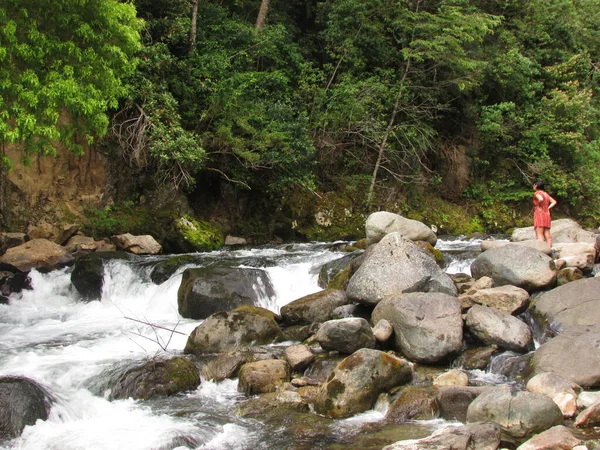 Kvinnor Naturen Araucania Chile Flod Och Skog — Stockfoto