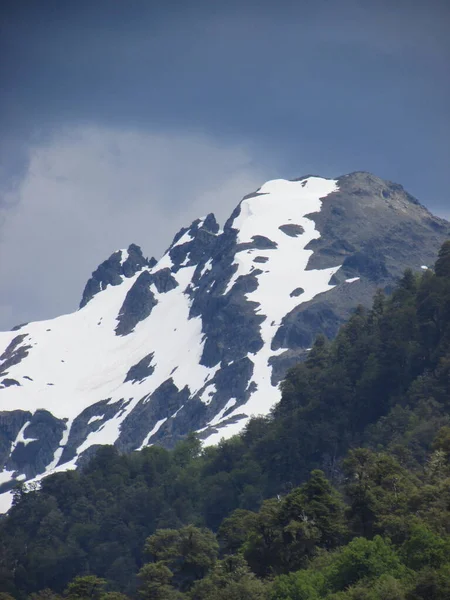 Cordillera Los Andes Bosque Chile — Foto de Stock