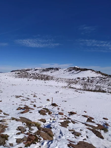 Enladrillado Altos Del Lircay Regin Del Maule Cile Ande Montagne — Foto Stock