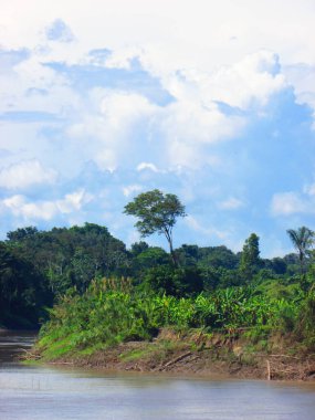 Gökyüzü, gün ve gün batımı, Ucayali Nehri. Doğa ve orman