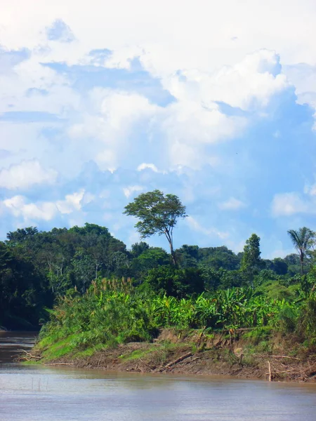 Cielo Día Atardecer Río Ucayali Naturaleza Selva — Foto de Stock